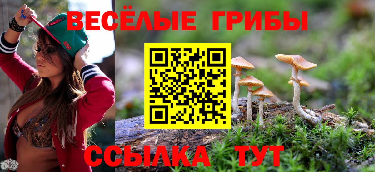 Галлюциногенные грибы прущие грибы Усть-Джегута